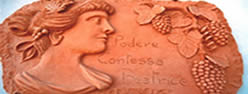 Podere Contessa Beatrice